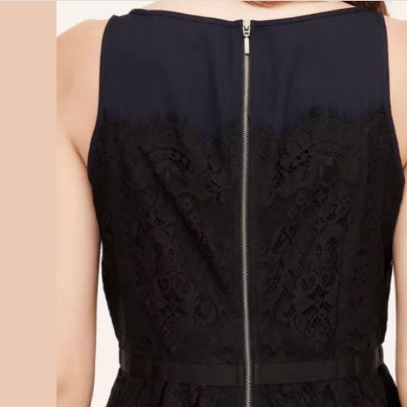 LOFT | Scallop Lace Peplum Shell - Picture 3 of 4